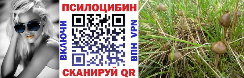 mega сайт  Новохопёрск  Псилоцибиновые грибы MAGIC MUSHROOMS 